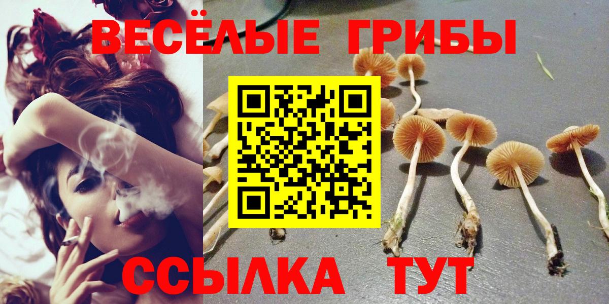 где купить   Галлюциногенные грибы Psilocybine cubensis  Вход с VPN  Вологда 
